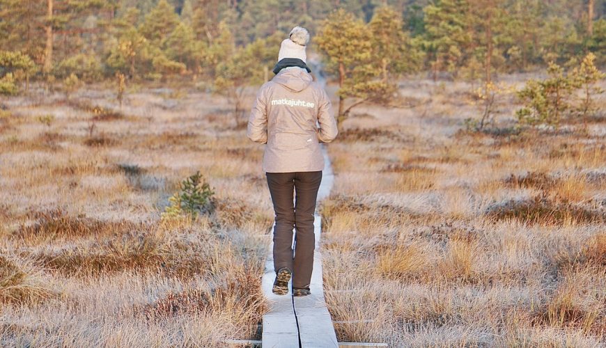 Rabamatk, jalgsimatk laudteel. Matkajuht matkab laudteed pidi kergelt jäätunud päikeselises soos