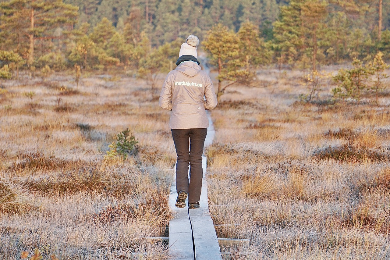 Rabamatk, jalgsimatk laudteel. Matkajuht matkab laudteed pidi kergelt jäätunud päikeselises soos