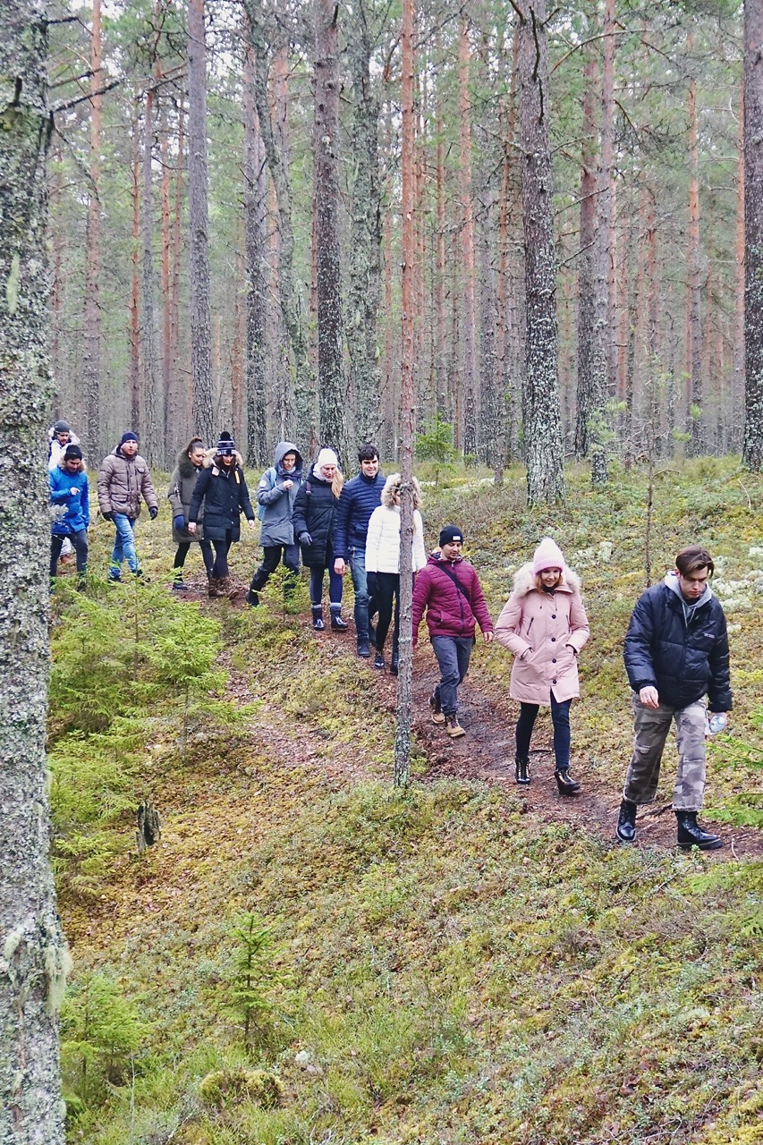 Võhandu matkarada Toolamaal – kaunite jõeäärsete maastike metsamatk